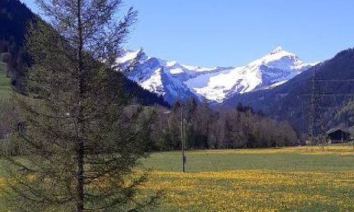 Ferienwohnung Baumerhus, Gstaad und Saanenland, Berner Oberland, Schweiz Baumerhus